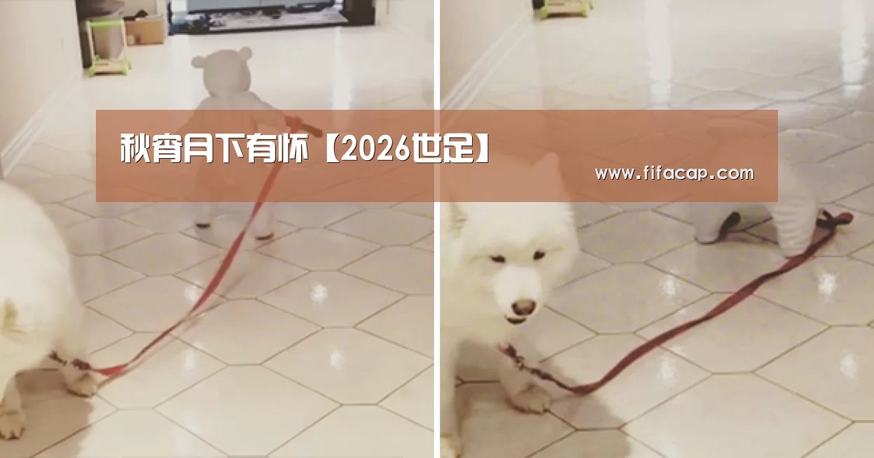 2026世足
